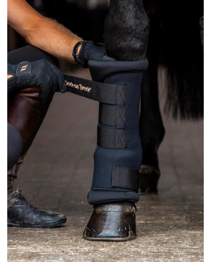 BACK ON TRACK - Guêtres d'écurie Royal boots