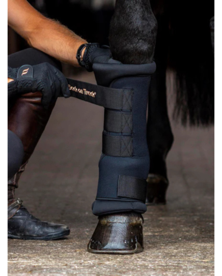 BACK ON TRACK - Guêtres d'écurie Royal boots