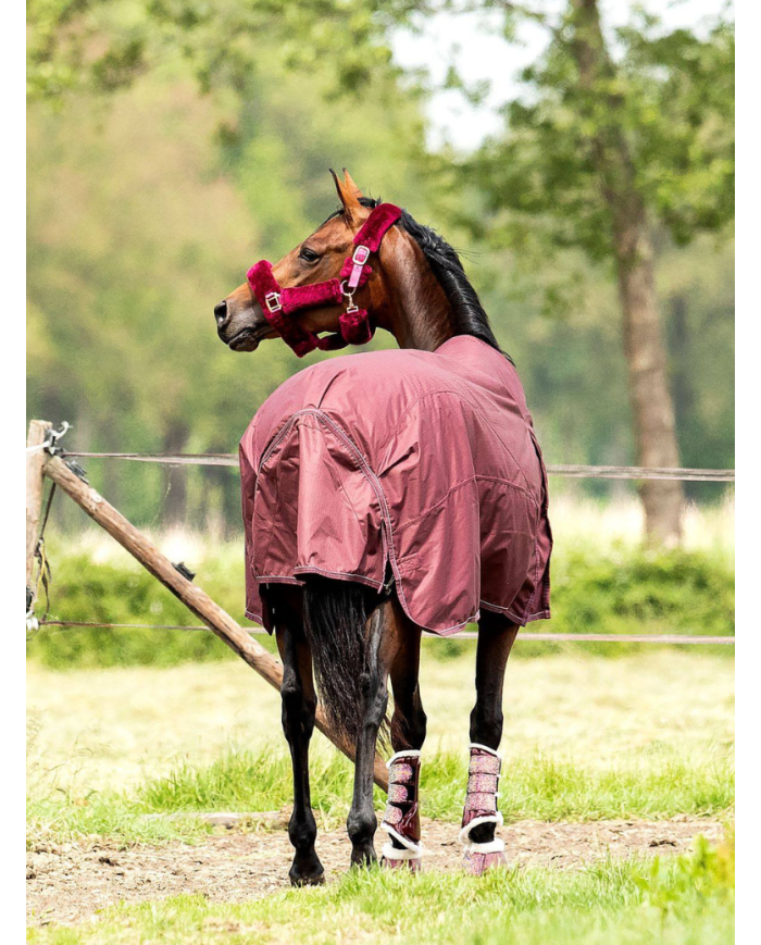 HB - Couverture d'extérieur Showtime 200g