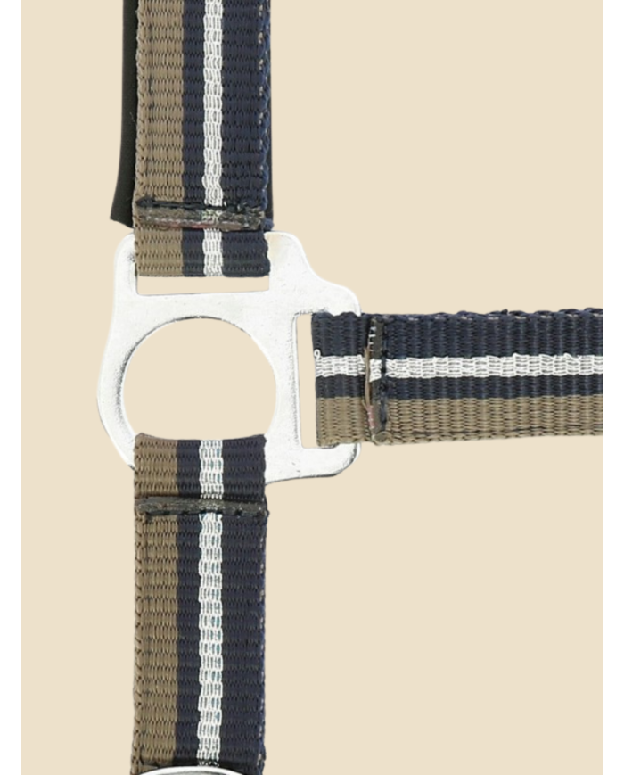 NORTON - Licol + longe  brillant