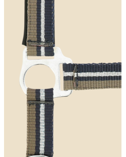 NORTON - Licol + longe  brillant