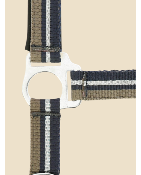 NORTON - Licol + longe brillant