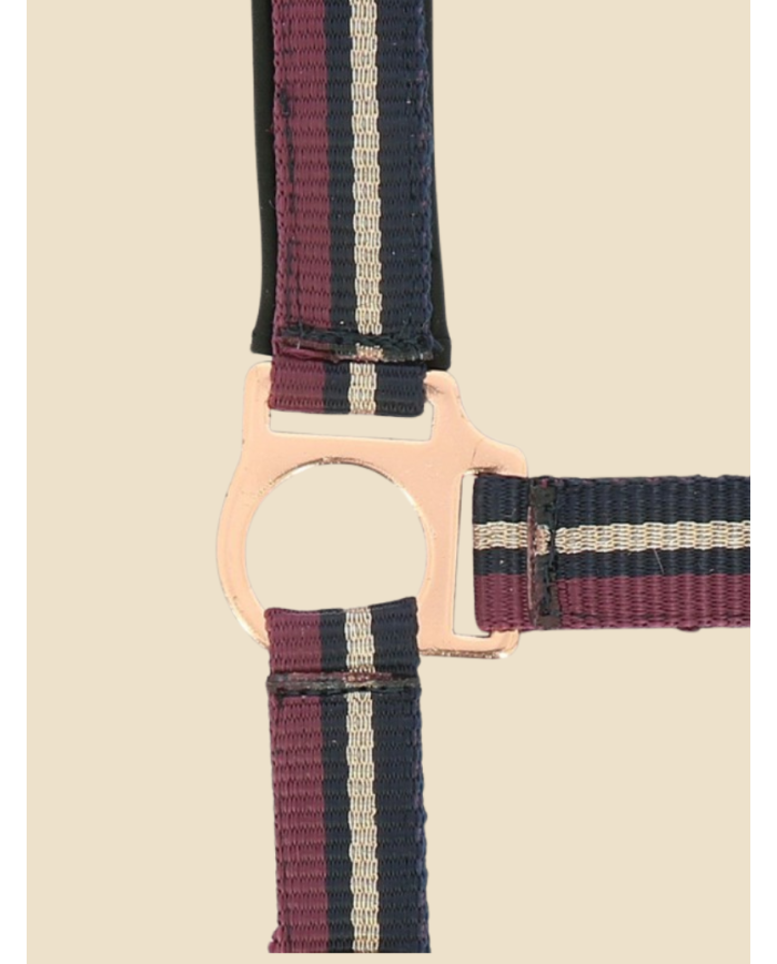 NORTON - Licol + longe  brillant