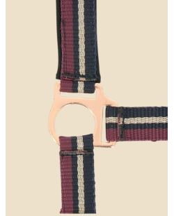 NORTON - Licol + longe  brillant