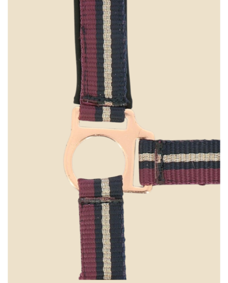 NORTON - Licol + longe brillant