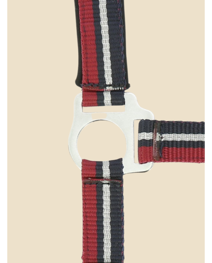 NORTON - Licol + longe  brillant