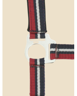 NORTON - Licol + longe  brillant