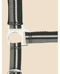 NORTON - Licol + longe  brillant