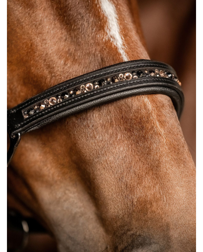Waldhausen - Licol en cuir X-Line Crystal