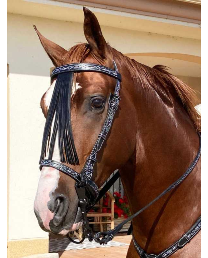 Bridon Filigrané Artisanal noire et blanc