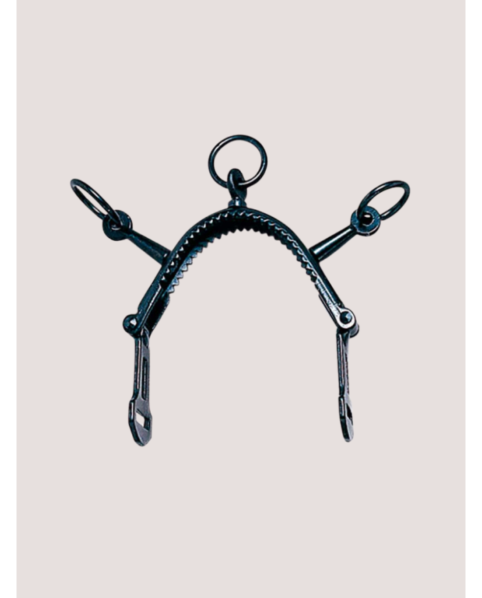 Media cane en acier trois anneaux