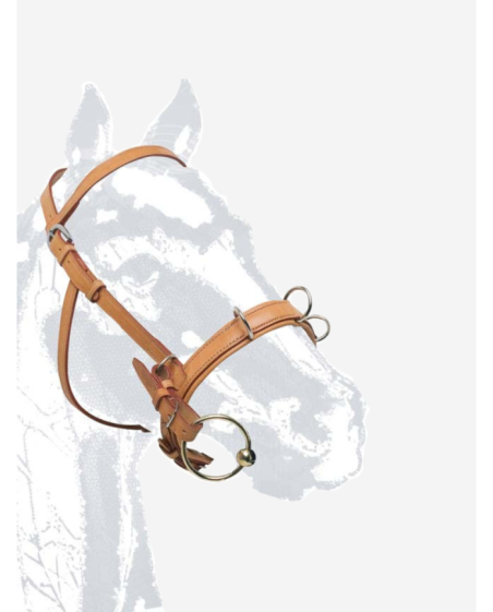 Caveçon cuir avec ou sans mors