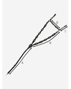 Collier de chasse portugais Cortesia ECO de Marjoman