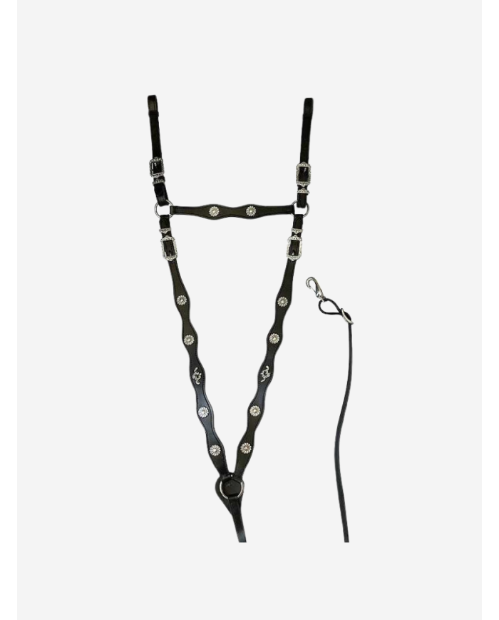 Collier de chasse portugais Cortesia ECO de Marjoman noir boucles chromées