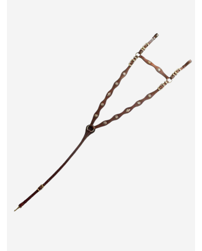 Collier de chasse portugais Cortesia ECO de Marjoman marron boucles dorées