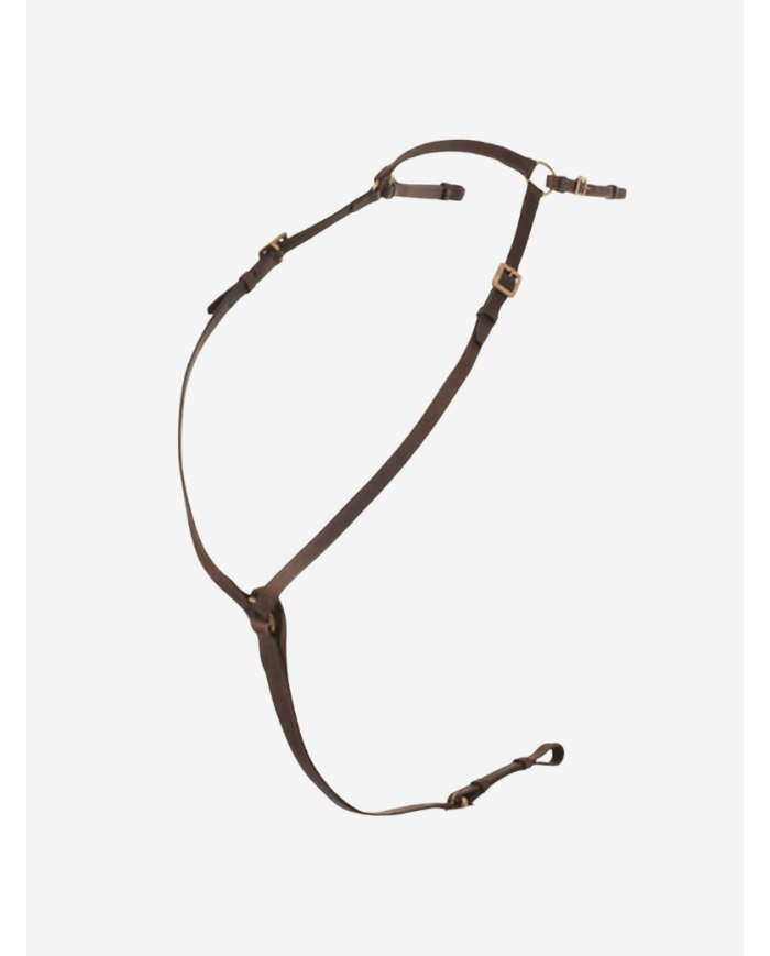 Collier de chasse portugais boucle rectangle ECO marron