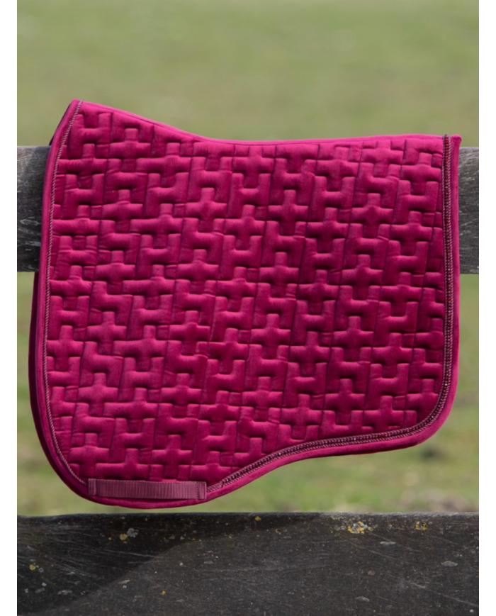 Chabraque de dressage Allure
