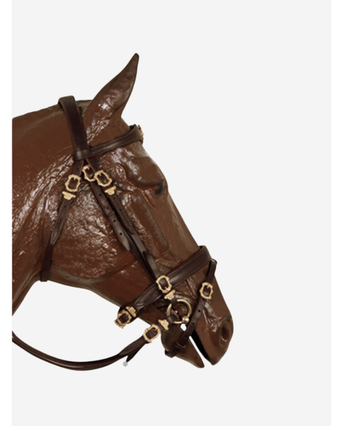 Bridon Portugais mixte 100% personnalisable