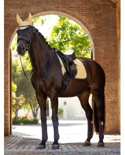 LE MIEUX - Tapis Dressage Square en suédine Mimosa Noyau