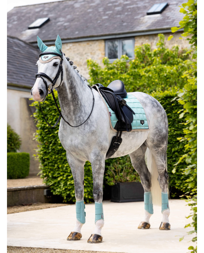 LE MIEUX - Tapis Dressage Square Loire Classic Aqua Noyau
