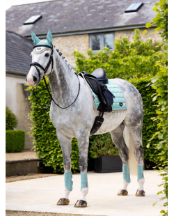 LE MIEUX - Tapis Dressage Square Loire Classic Aqua Noyau