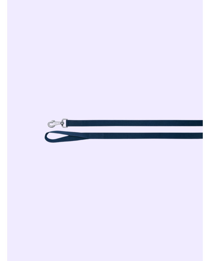 Longe à tourner effet rênes 8m