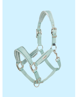 LE MIEUX - Licol Versailles Aqua Noyau