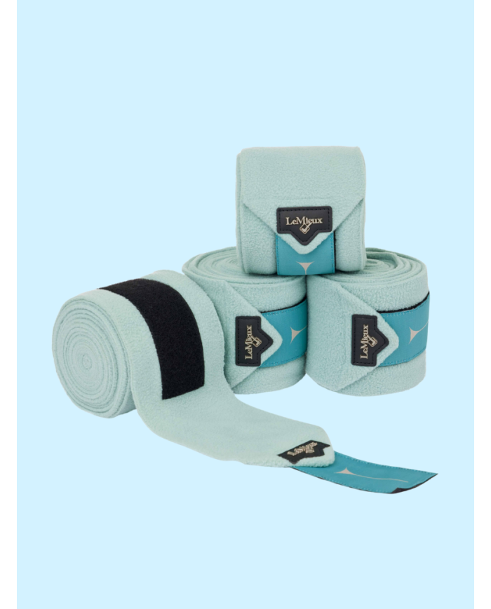 LE MIEUX - Bandes de Polo Aqua Noyau