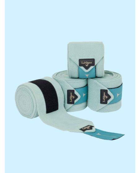 LE MIEUX - Bandes de Polo Aqua Noyau