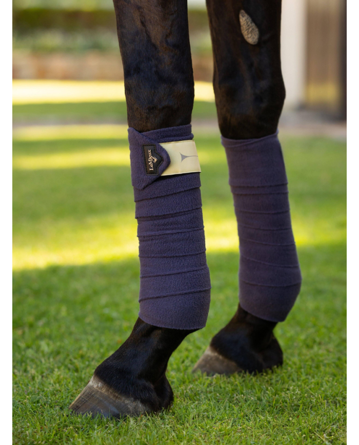 LE MIEUX - Bandes de Polo Dusk Blue Noyau