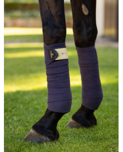 LE MIEUX - Bandes de Polo Dusk Blue Noyau