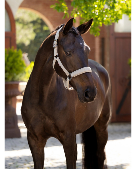 copy of LeMieux - Bonnet anti-mouches Loire Dusk Blue Noyau