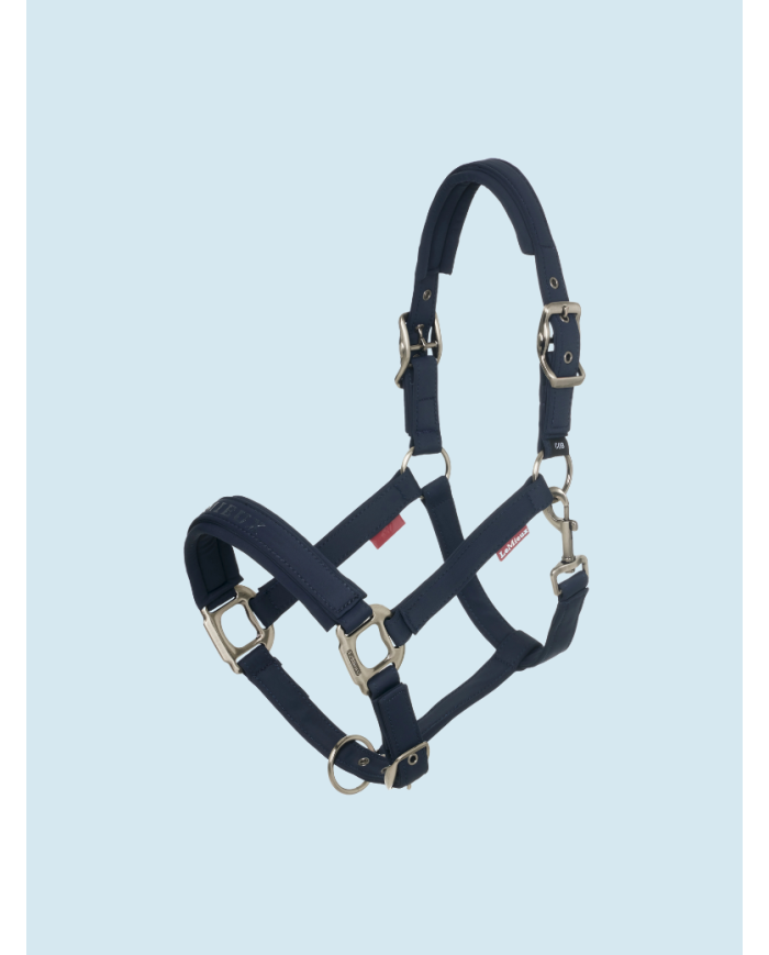 LE MIEUX - Licol Essence Navy Noyau