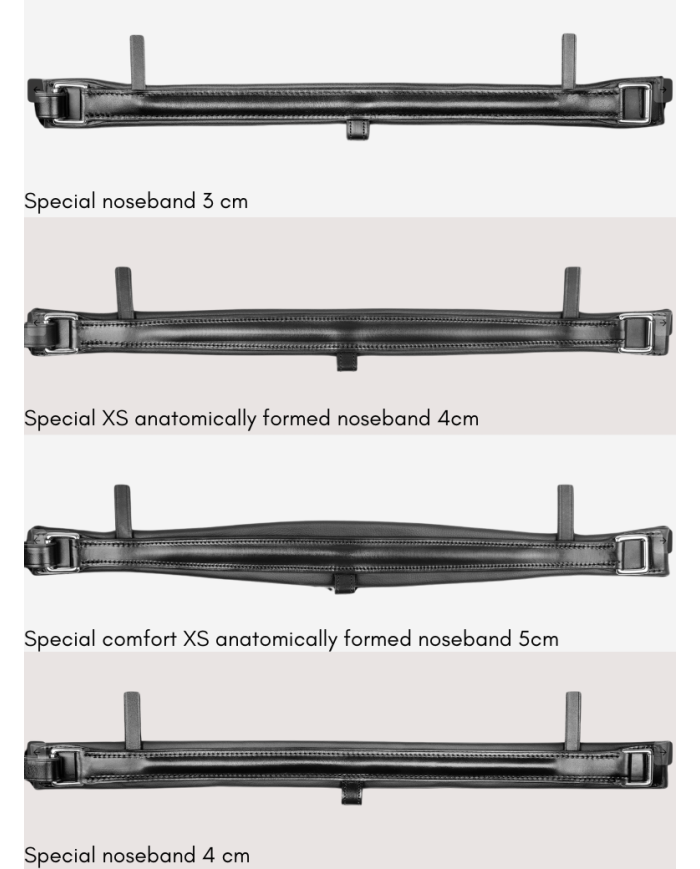 SELLERIE RIOJA - Tokyo Otto
