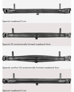 SELLERIE RIOJA - Tokyo Otto
