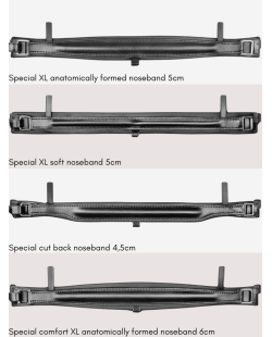 SELLERIE RIOJA - Tokyo Otto