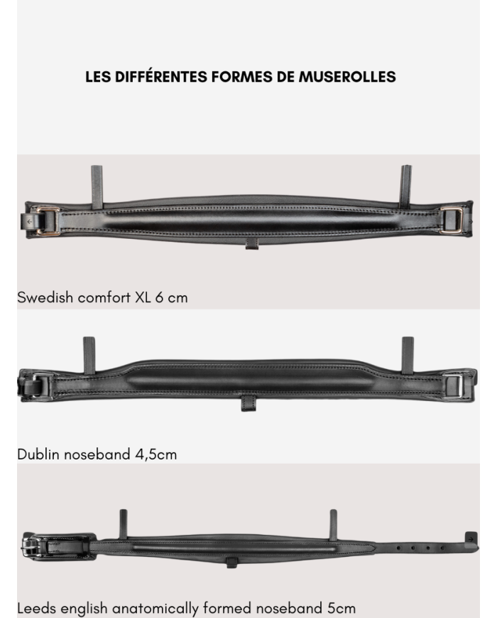 SELLERIE RIOJA - Tokyo Otto