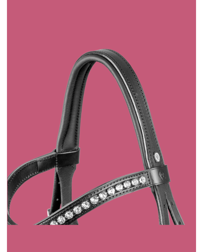 OTTO SCHUMACHER - Venedig XS