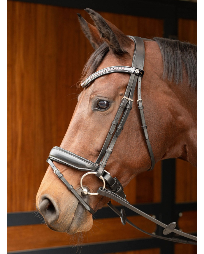 HARRY'S HORSE - Bridon Allegro