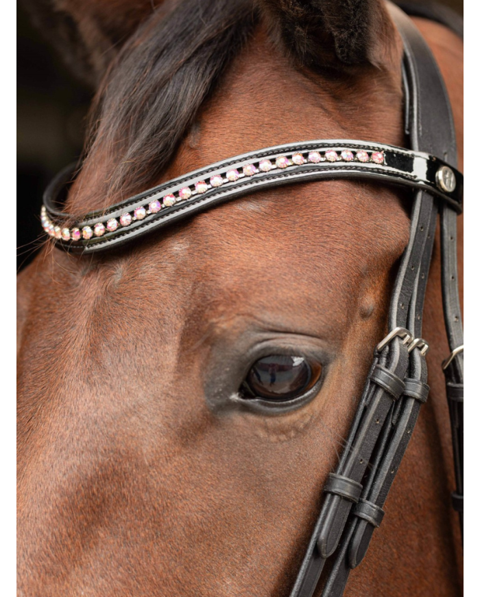 HARRY'S HORSE - Bridon Allegro