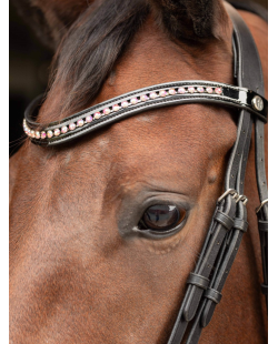 HARRY'S HORSE - Bridon Allegro
