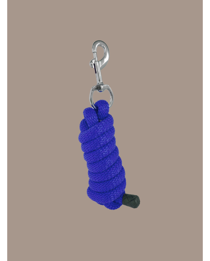 Longe en nylon 2m bleu