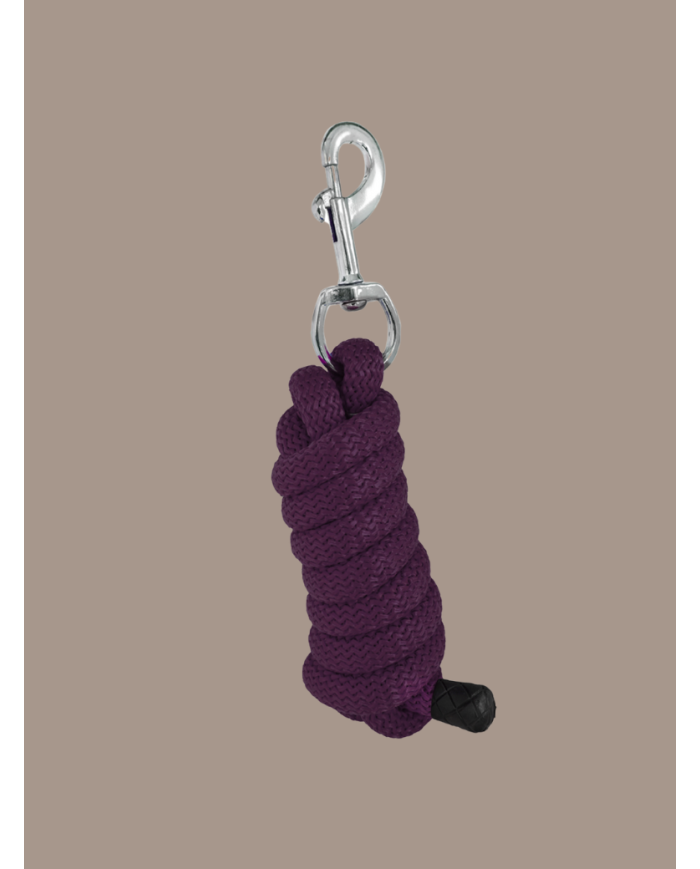 Longe en nylon 2m violet