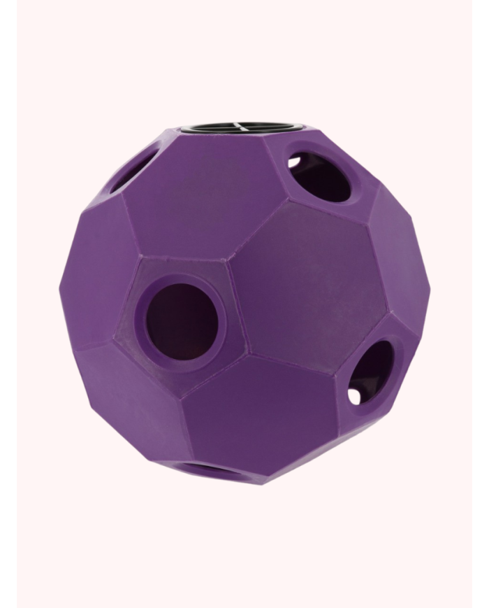 Balle de jeu anti-glouton