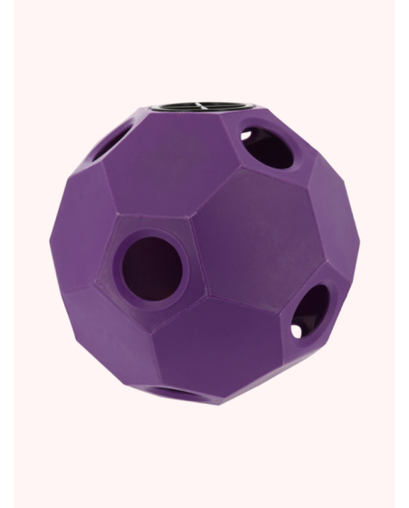 Balle de jeu anti-glouton