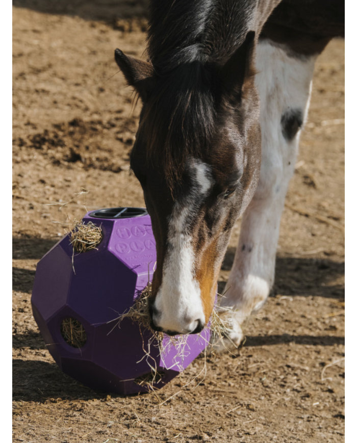 Balle de jeu anti-glouton