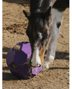 Balle de jeu anti-glouton