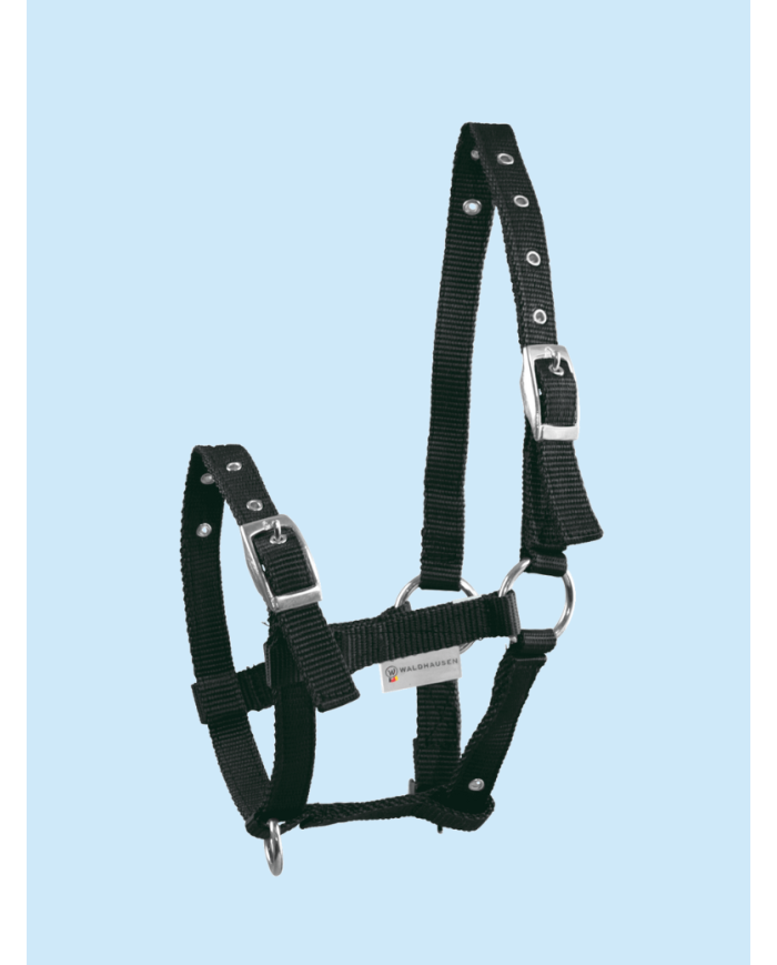 WALDHAUSEN - Licol pour poulain noir