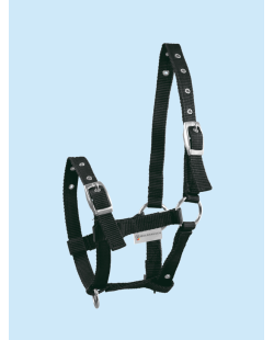 WALDHAUSEN - Licol pour poulain noir