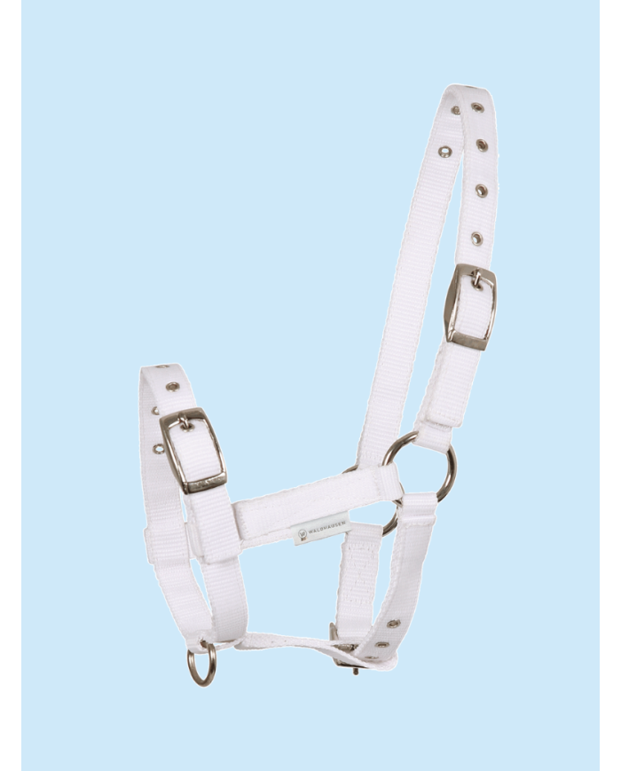 WALDHAUSEN - Licol pour poulain blanc